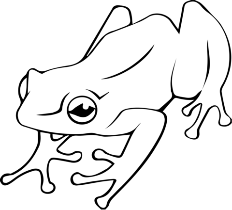 Poison Dart Frog Coloring Page